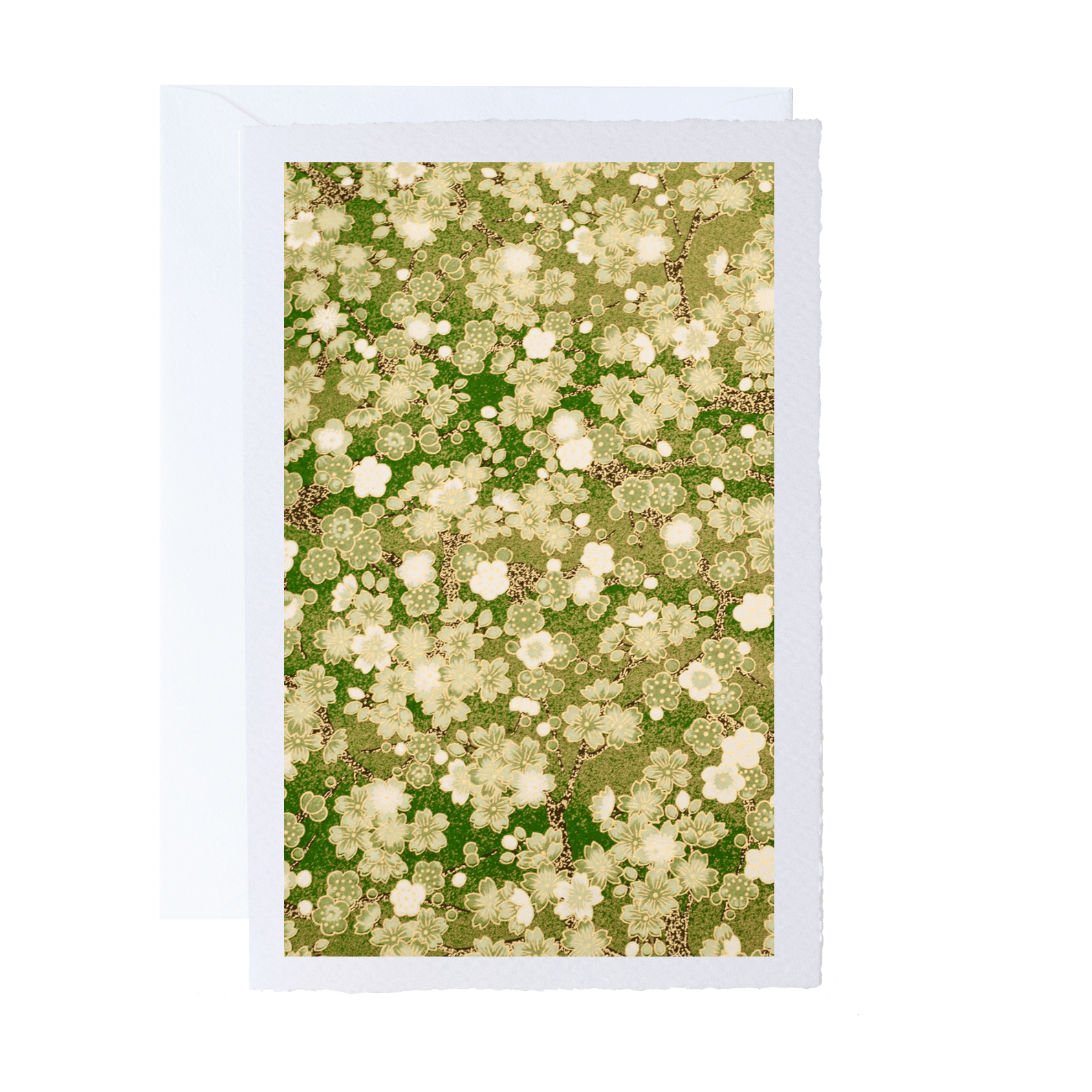 All Occasion Greeting Card | Ivory | A5 | Floral and Botanical Designs | Kami Paper | 15 DESIGNS AVAILABLE