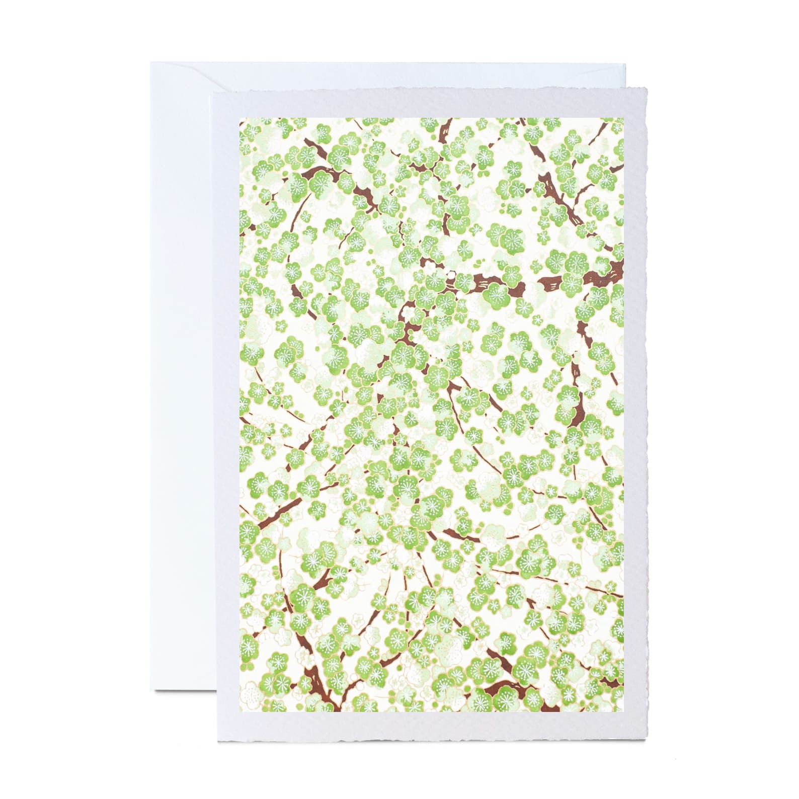 All Occasion Greeting Card | Ivory | A6 | Floral and Botanical Designs | Kami Paper | 15 DESIGNS AVAILABLE