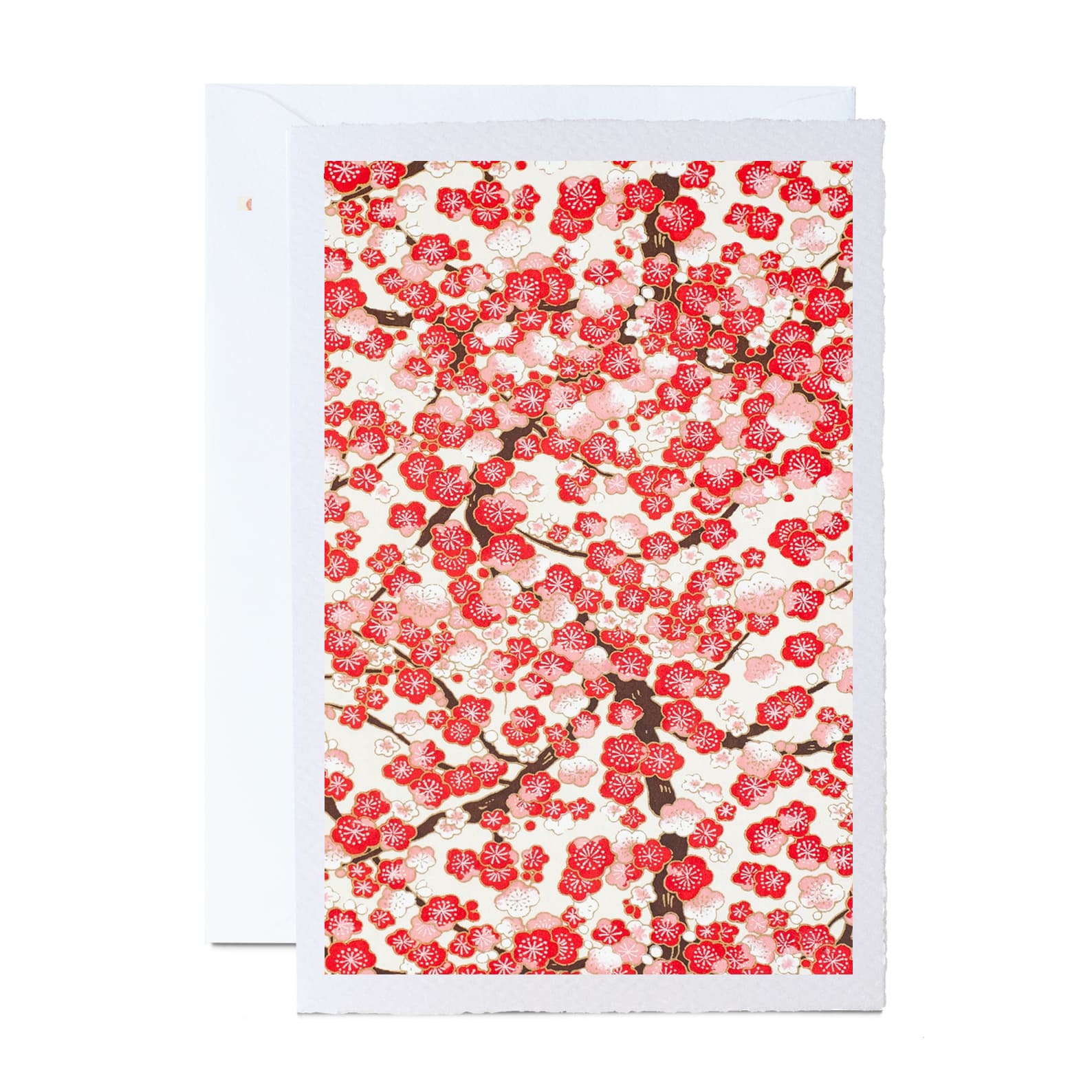 All Occasion Greeting Card | Ivory | A6 | Floral and Botanical Designs | Kami Paper | 15 DESIGNS AVAILABLE