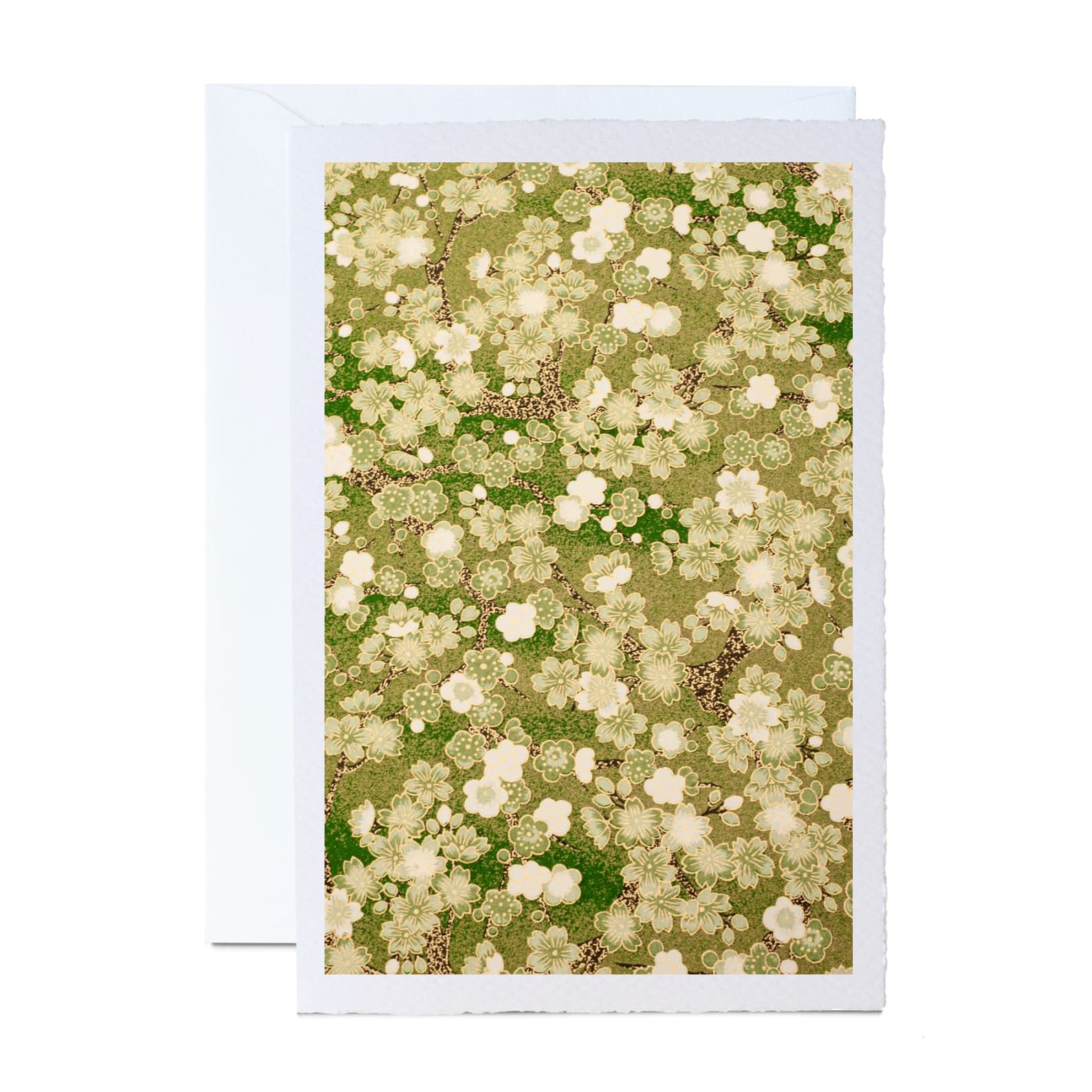 All Occasion Greeting Card | Ivory | A6 | Floral and Botanical Designs | Kami Paper | 15 DESIGNS AVAILABLE