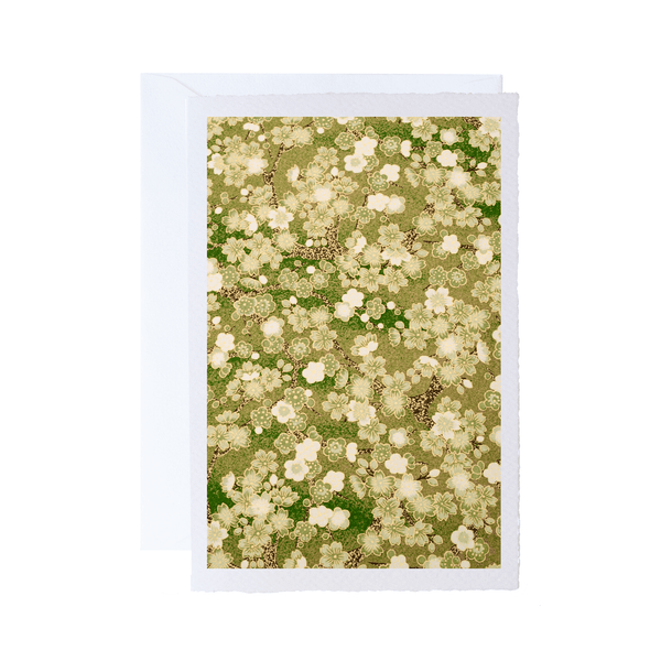 All Occasion Greeting Card | Ivory | Medium | Floral and Botanical Designs | Kami Paper | 15 DESIGNS AVAILABLE