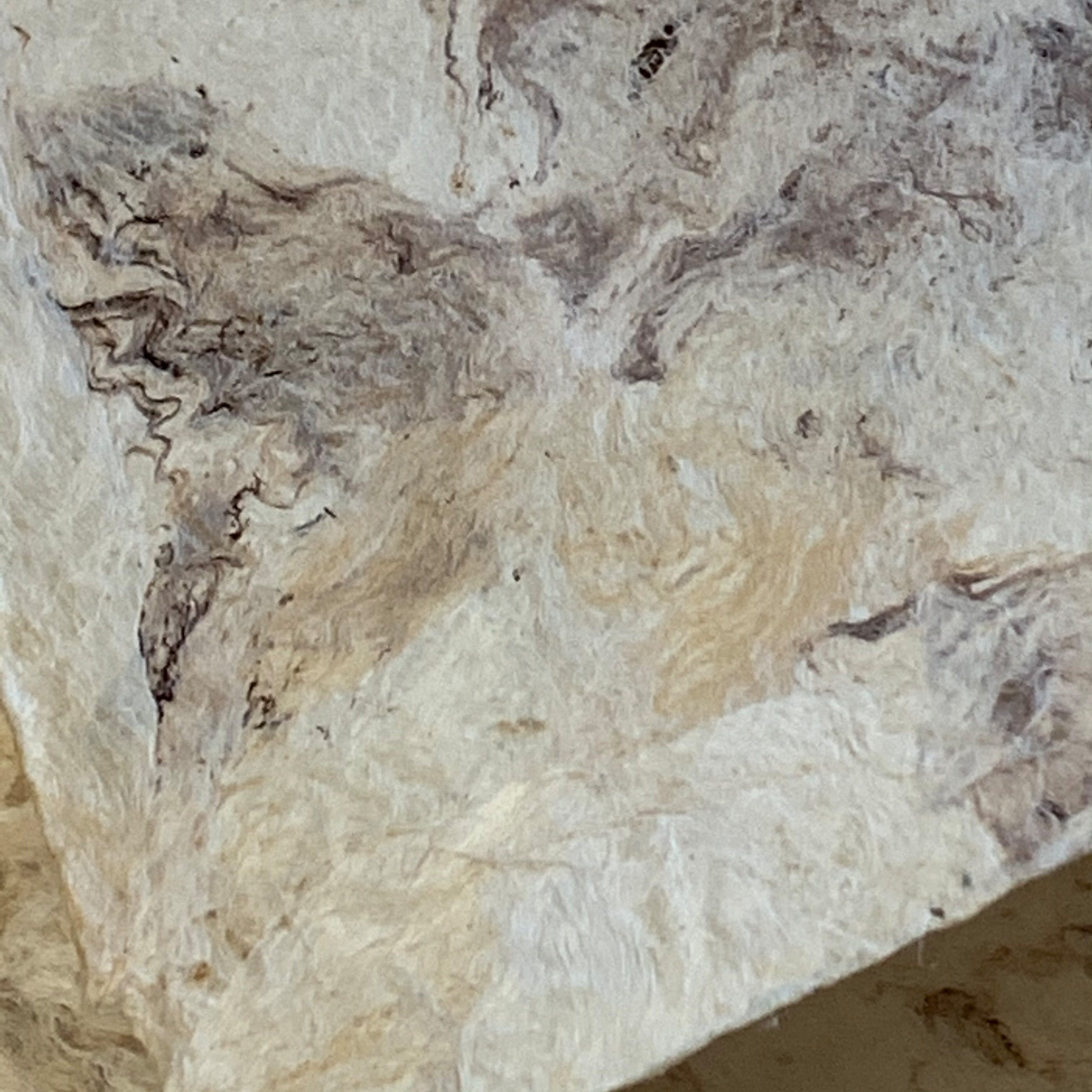 Handmade Mexican Paper | Amate | Solid | Mottled Brown - Kami Paper
