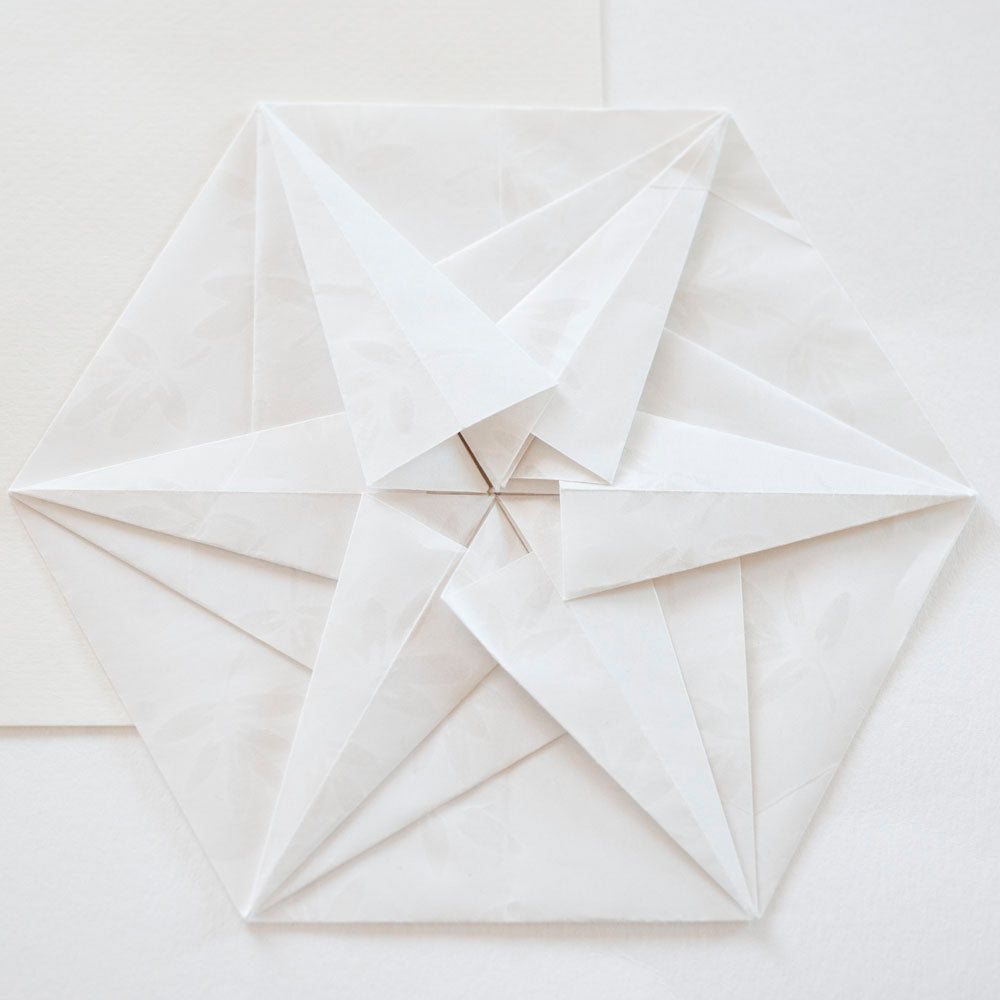 Kami Hitch - Ami Box Set (Sukashi/White), Kami Hitch, Kami - Kami 