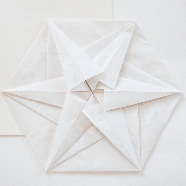 Kami Hitch - Ami Box Set (Sukashi/White), Kami Hitch, Kami - Kami 