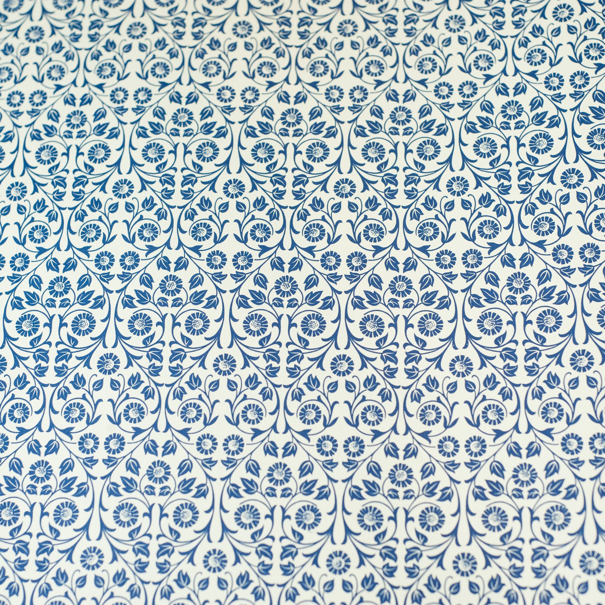 Italian Paper | Carta Varese | Aster | 6 COLOURS - Kami Paper
