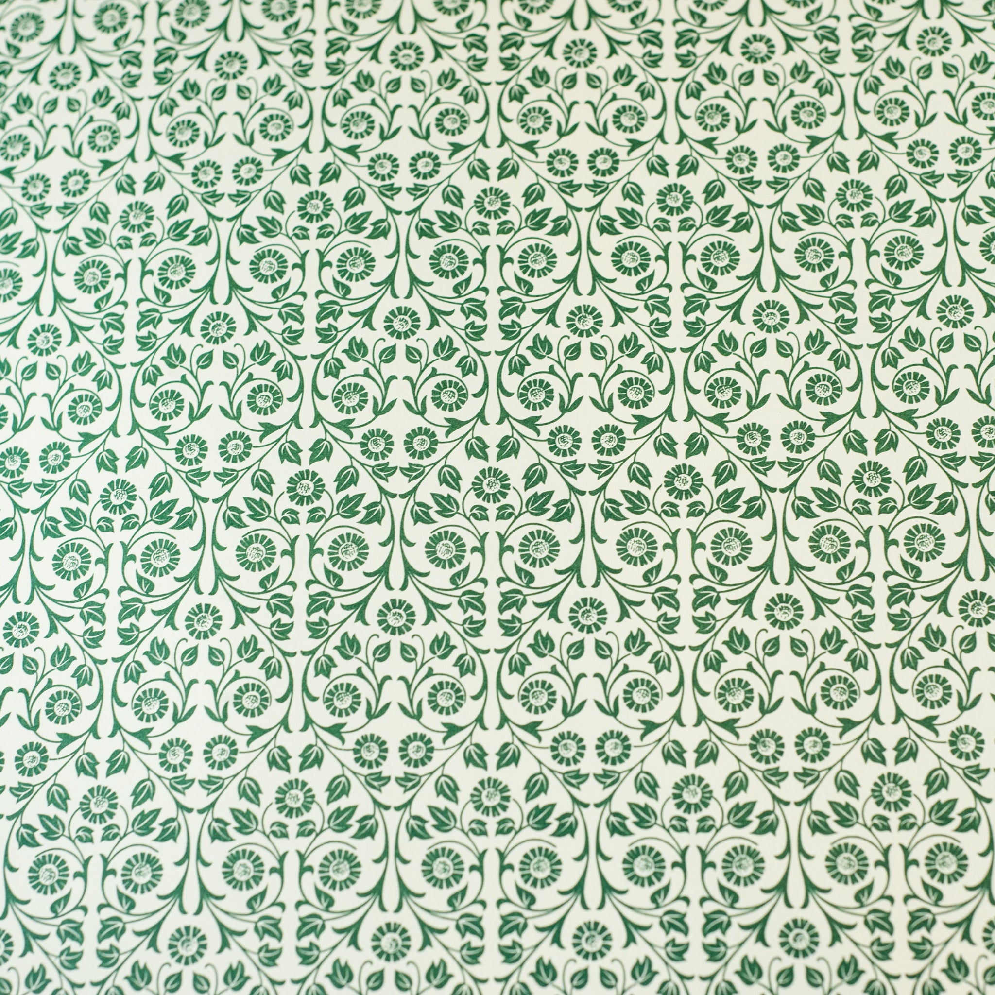 Italian Paper | Carta Varese | Aster | 6 COLOURS - Kami Paper