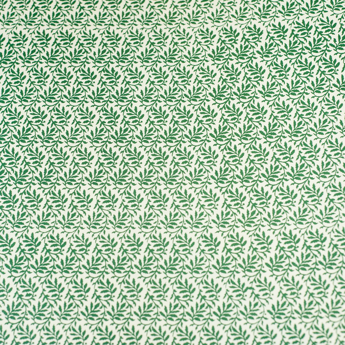 Carta Varese | Italian Paper | Kami - Fitzroy