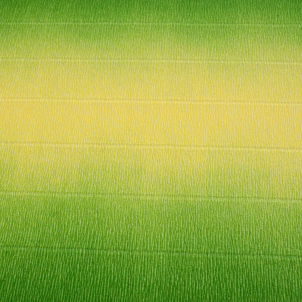Italian Paper |  Crepe Paper | Cartotecnica Rossi | 16 COLOUR OPTIONS AVAILABLE