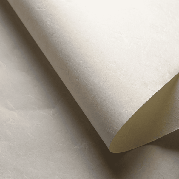 Japanese Paper | Awagami Unryushi 2 Layer
