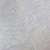 Japanese Paper | Awagami Asarakusui | 12 COLOUR OPTIONS AVAILABLE
