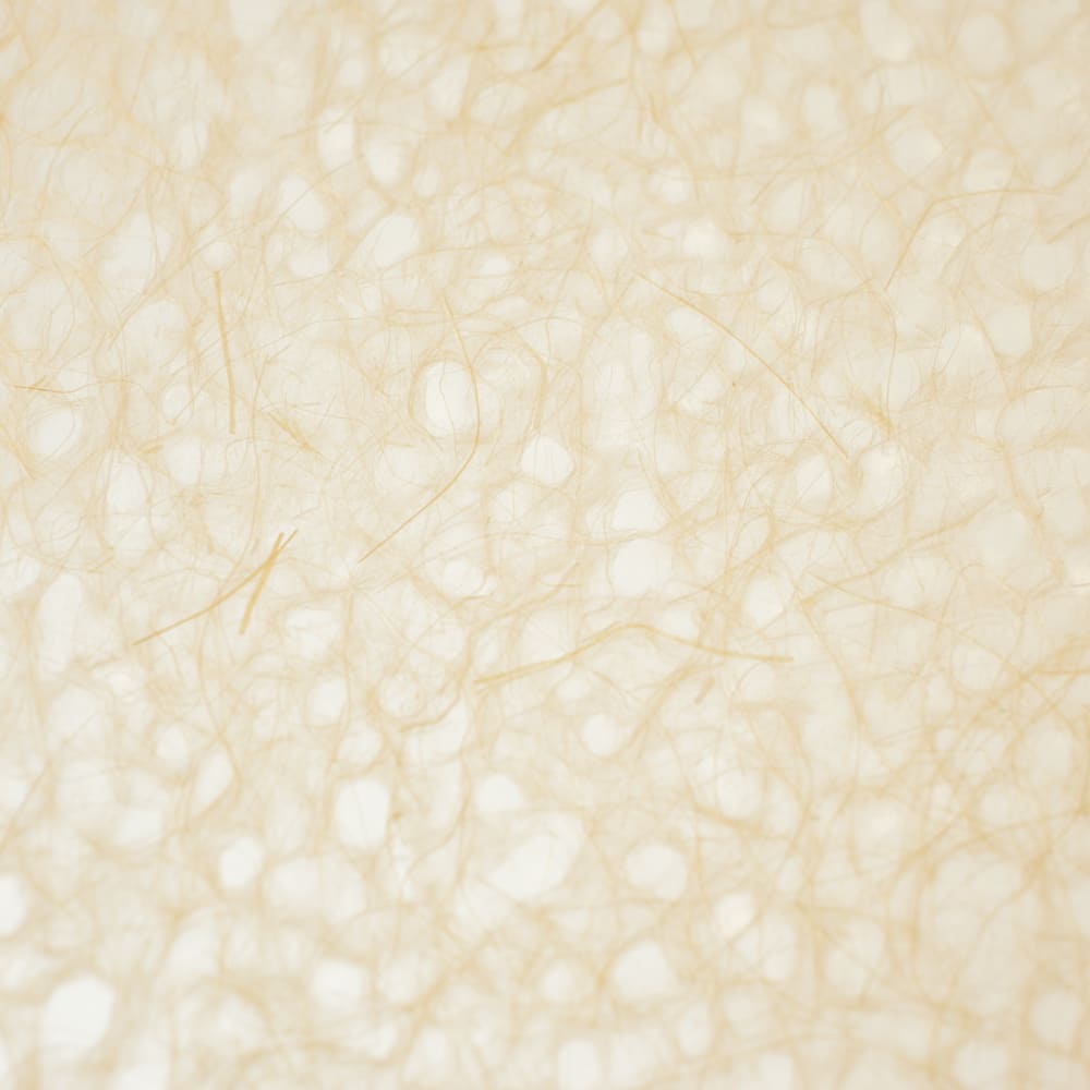 Japanese Paper | Awagami Asarakusui | 12 COLOUR OPTIONS AVAILABLE