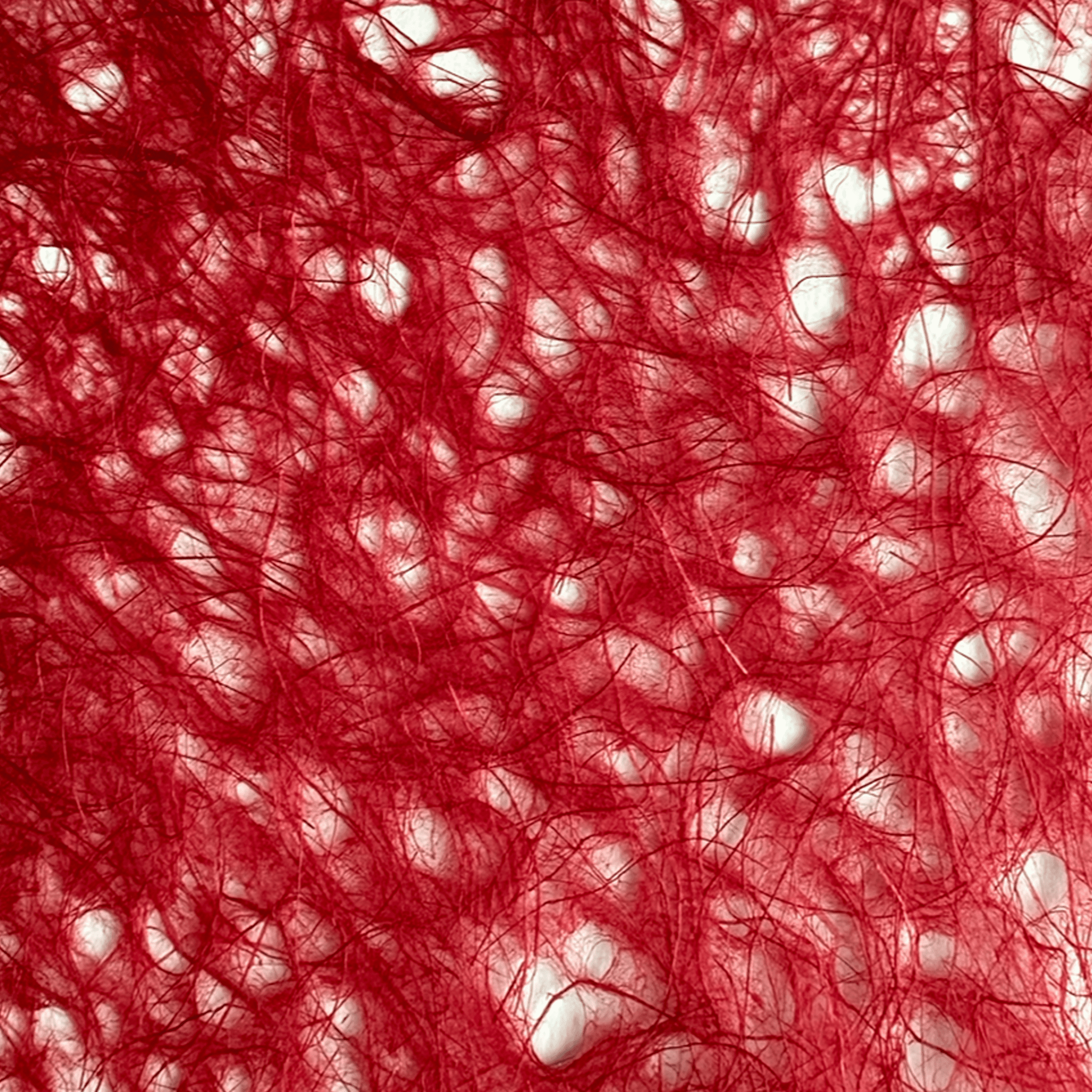 Japanese Paper | Awagami Asarakusui | 12 COLOUR OPTIONS AVAILABLE