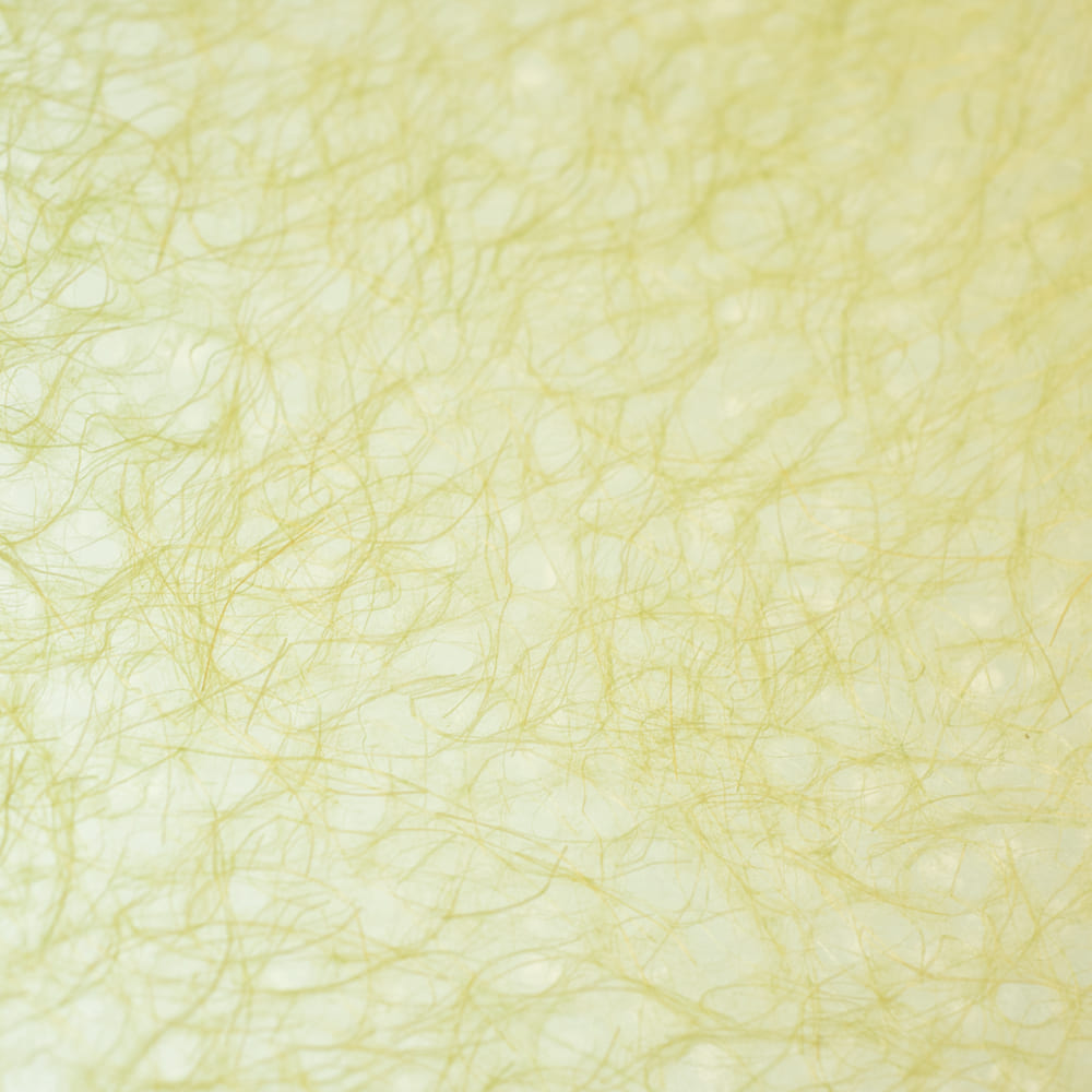 Japanese Paper | Awagami Asarakusui | 12 COLOUR OPTIONS AVAILABLE