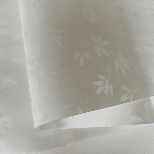 Japanese Paper | Sukashi | Bamboo Leaves | White