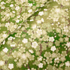 Japanese Paper | Chiyogami | Ume | Dark Green | Ch438 - Kami Paper