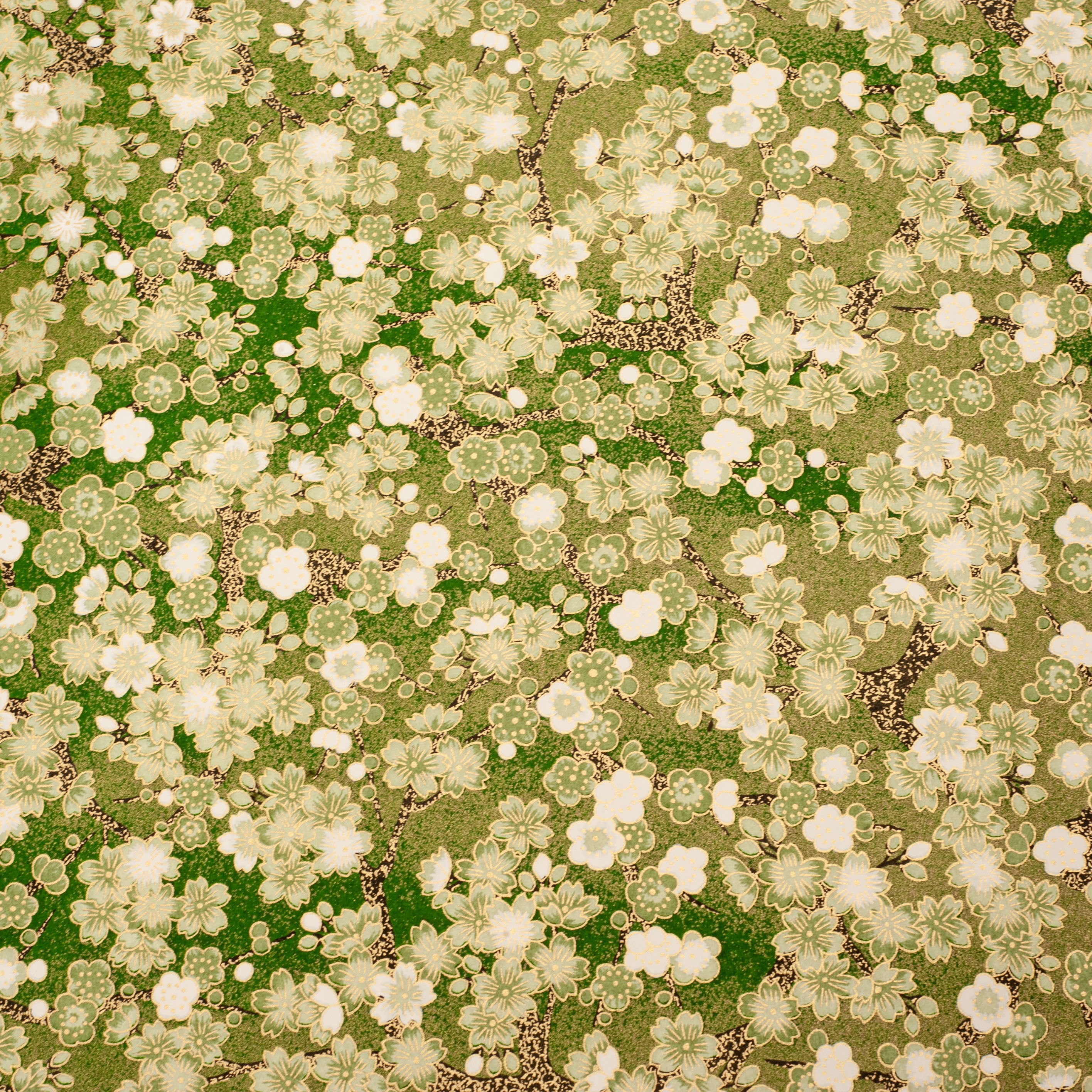 Japanese Paper | Chiyogami | Ume | Dark Green | Ch438 - Kami Paper