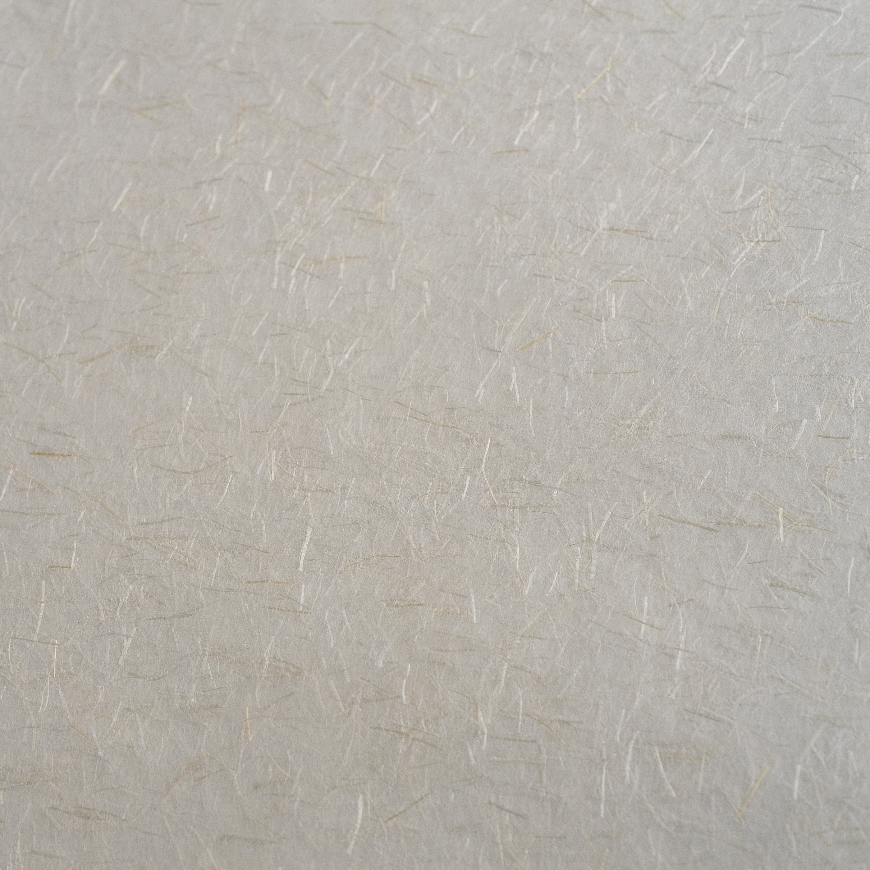 Awagami Ginwashi paper white handmade