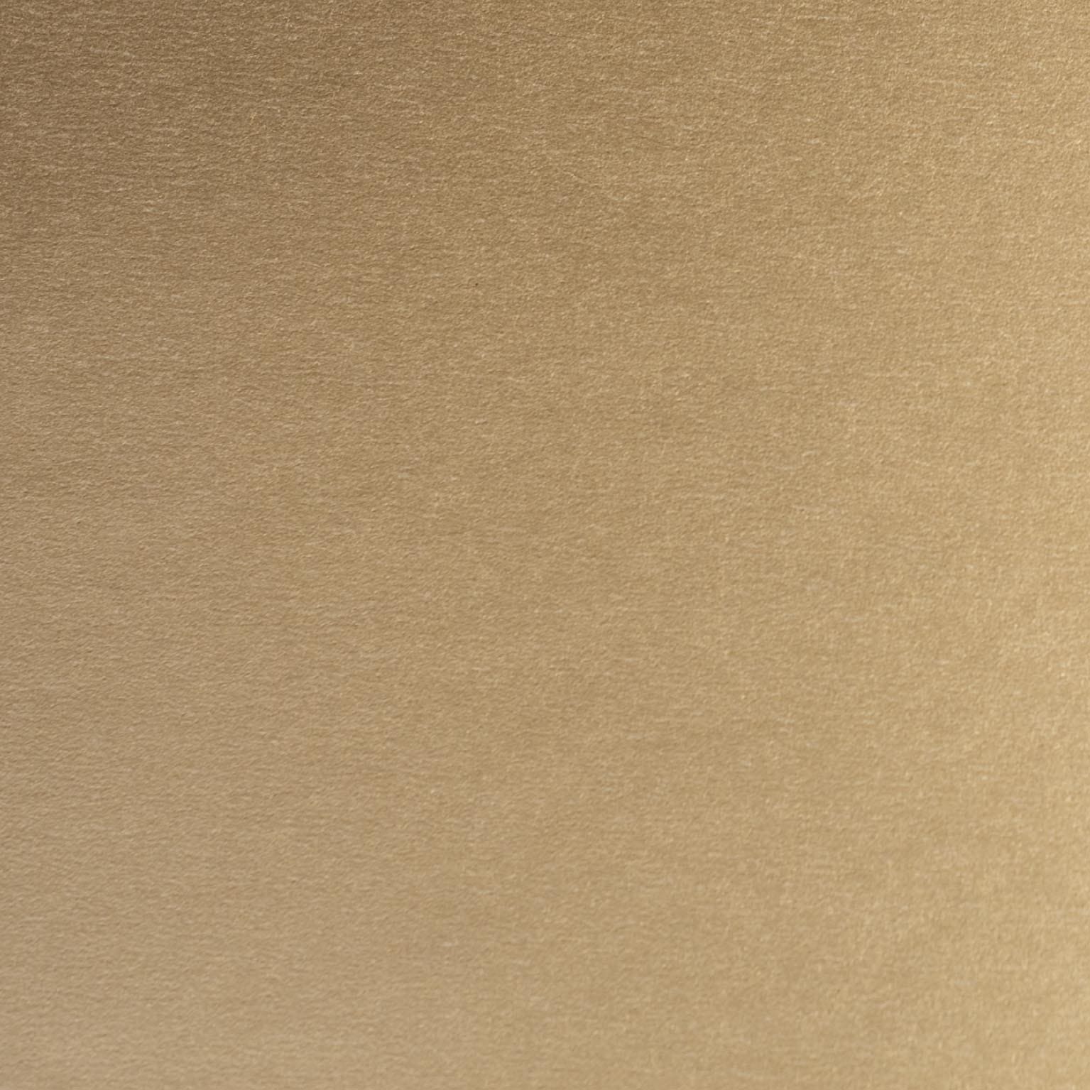 Japanese Paper | Metallic Kin Torinoko | Gold
