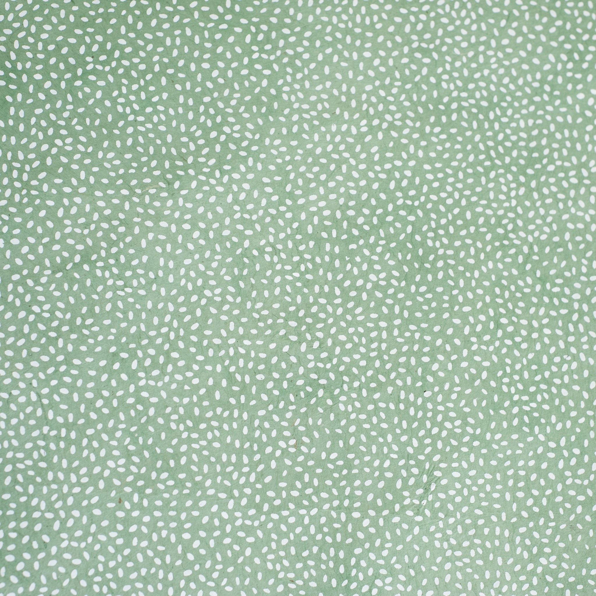 Nepalese Paper | Lokta | Rice | 2 COLOURS