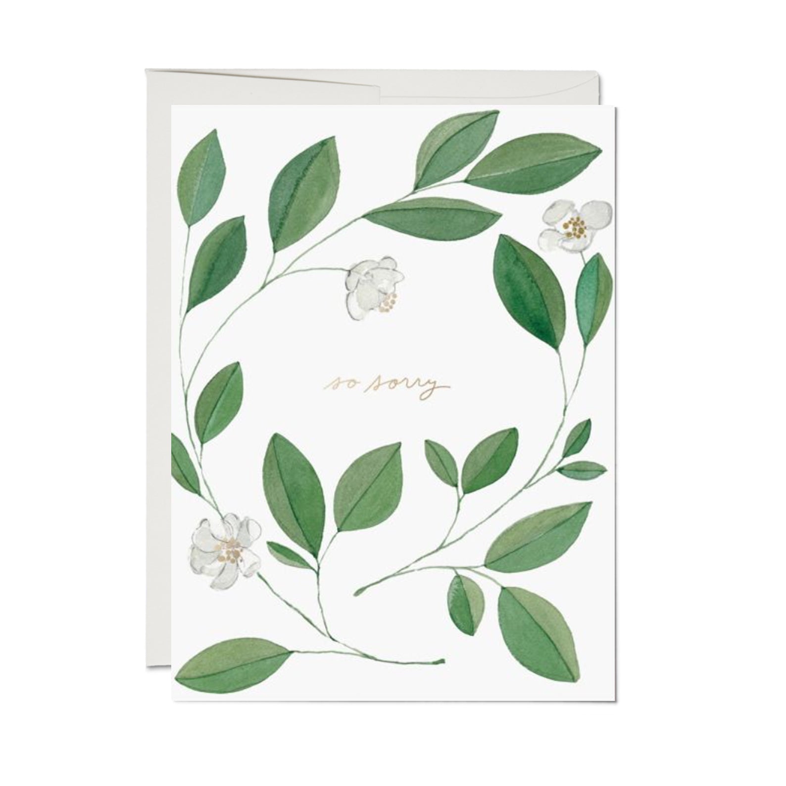 Sympathy & Thinking Of You Card  | Magnolia Condolence | E.Francis Paper - Kami Paper