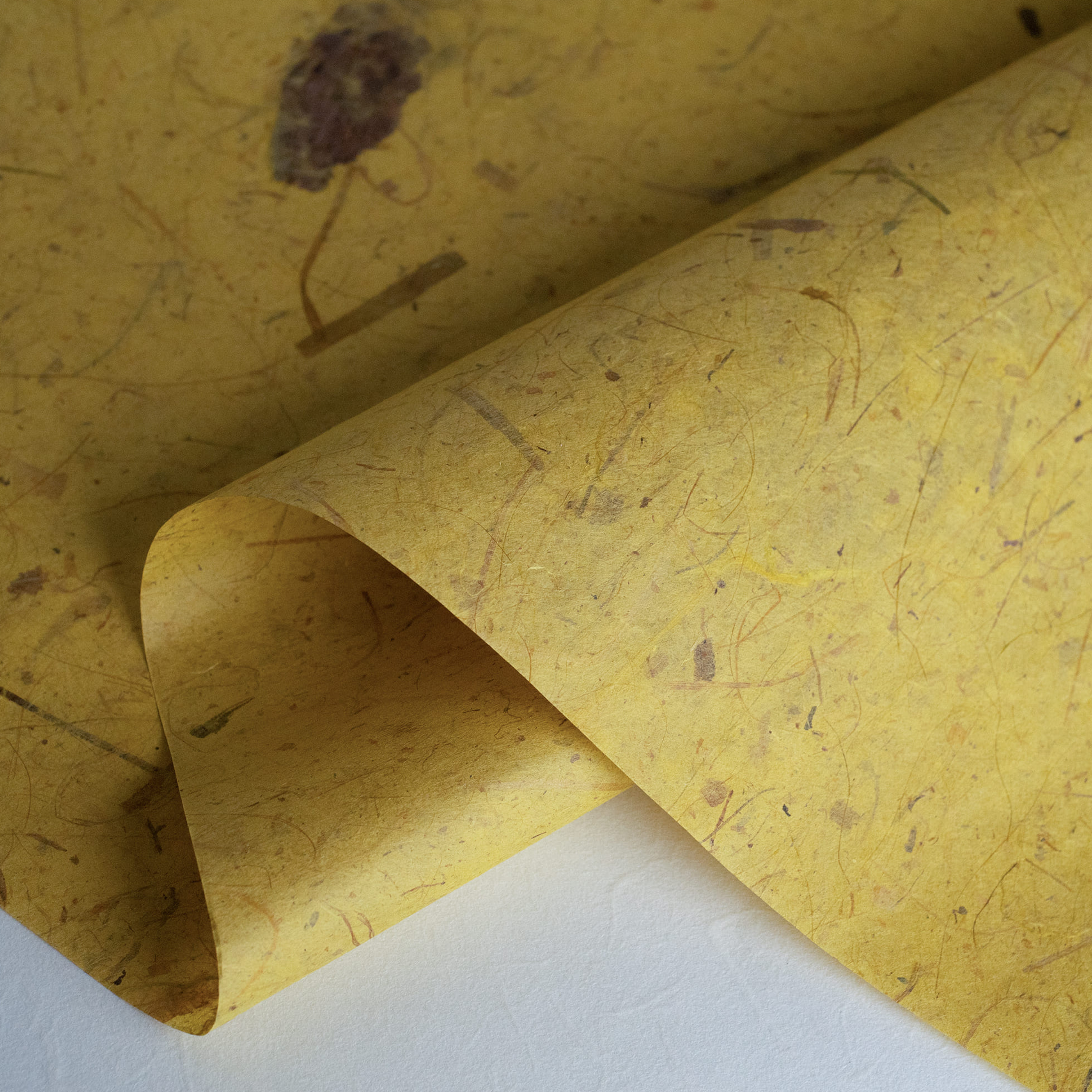 Thai Paper | Kozo Banana Leaf | 9 COLOURS