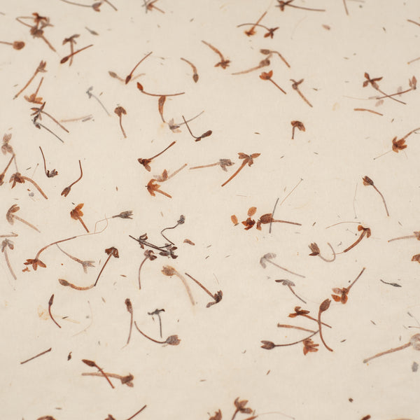 Thai Paper | Handmade Jasmine | Natural - Kami Paper