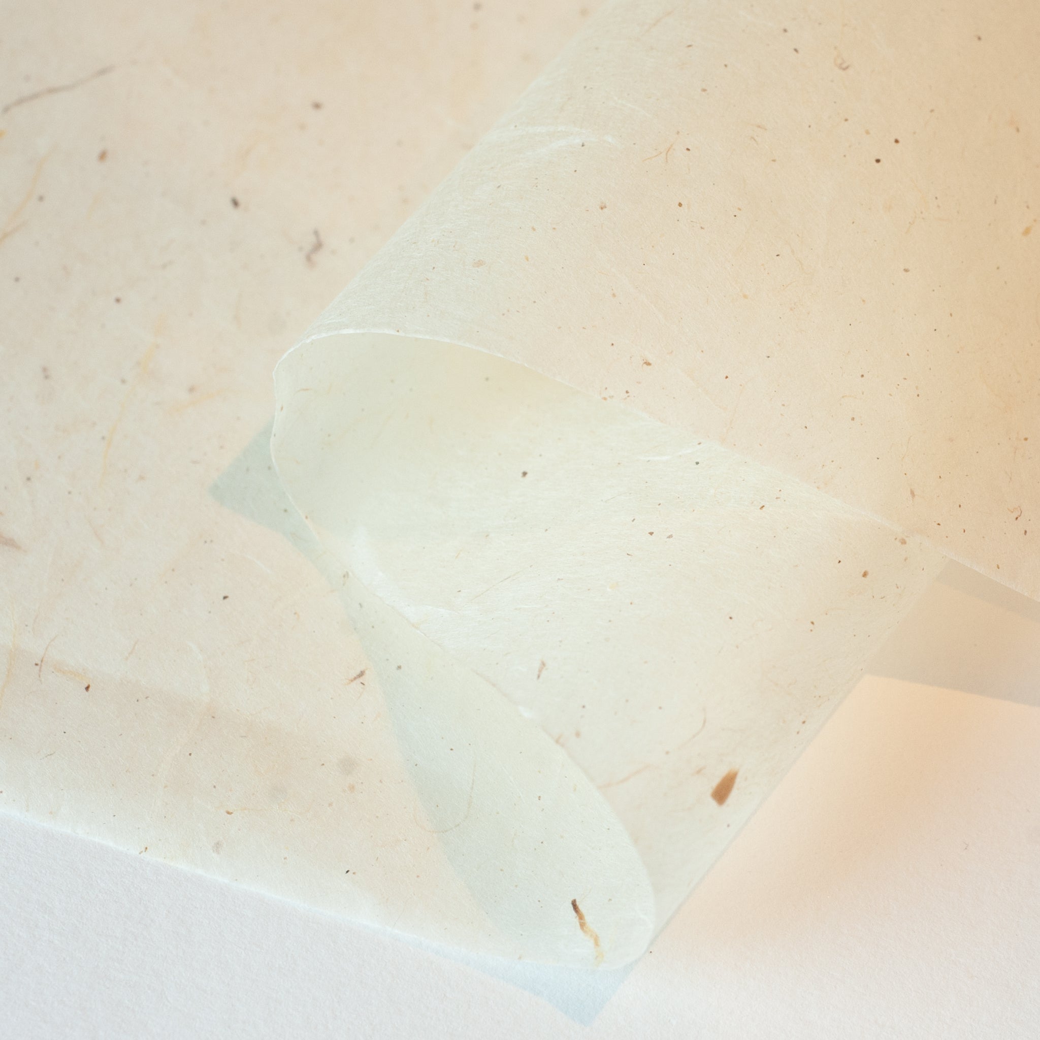 KoNaOLS: Basics Natural - (Off White Large Specks), Paper, Kami - Kami 