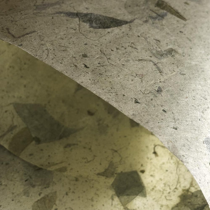 Thai Paper | Kozo Mango Leaf | 7 COLOUR OPTIONS AVAILABLE