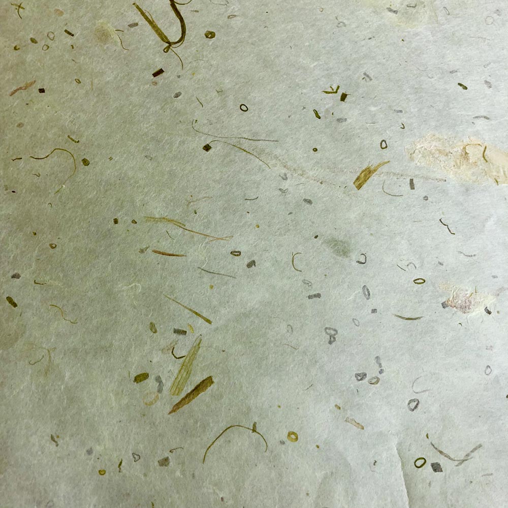 KoNaOSL: Basics Natural - (Onion Skin Lime), Paper, Kami - Kami 
